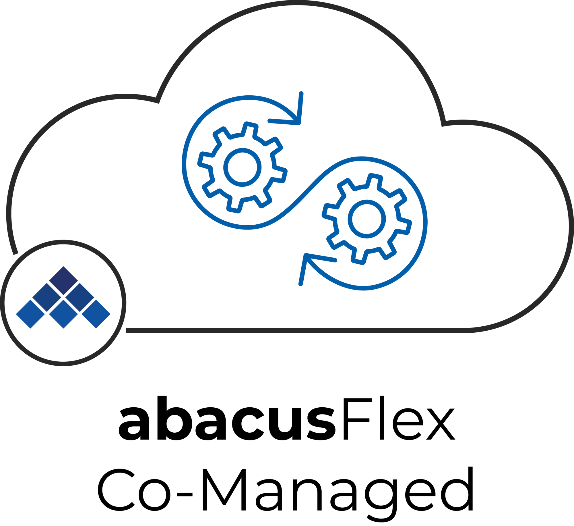 abacusFlex Co-Managed Logo (Text)