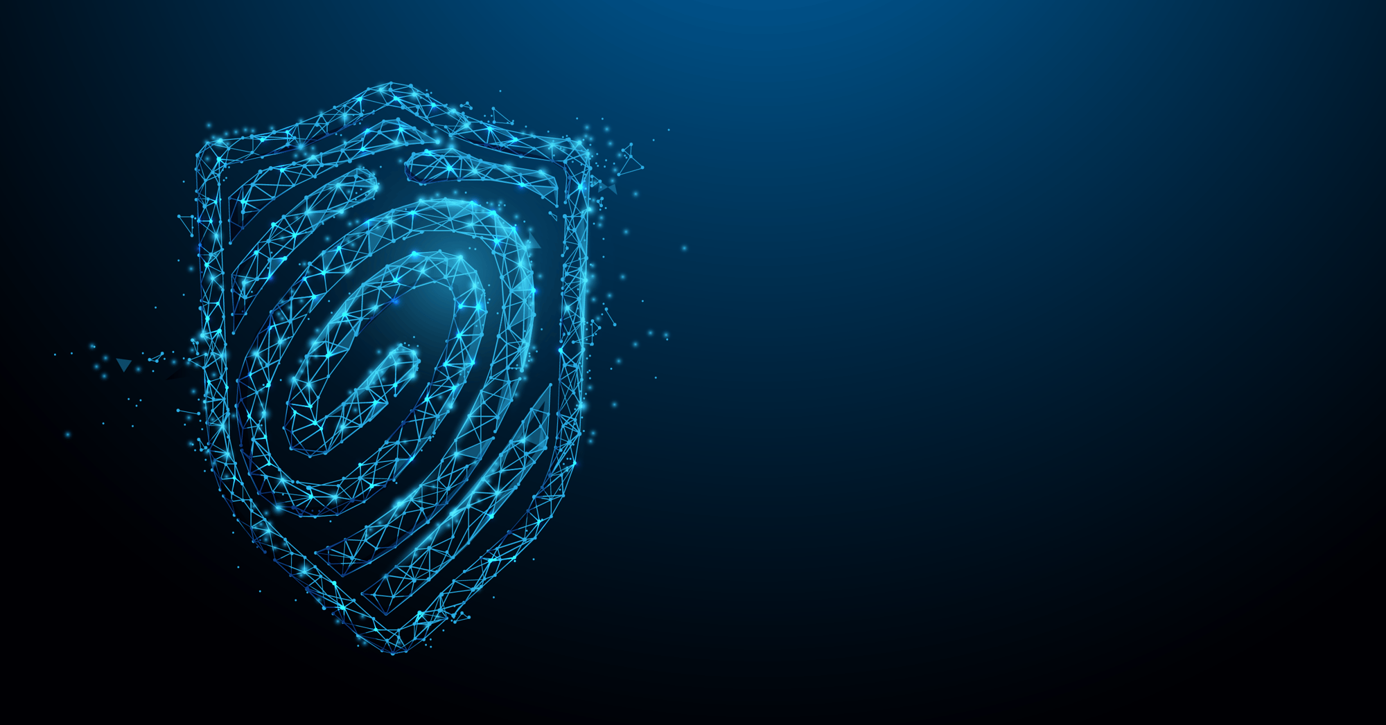 Shield Fingerprint