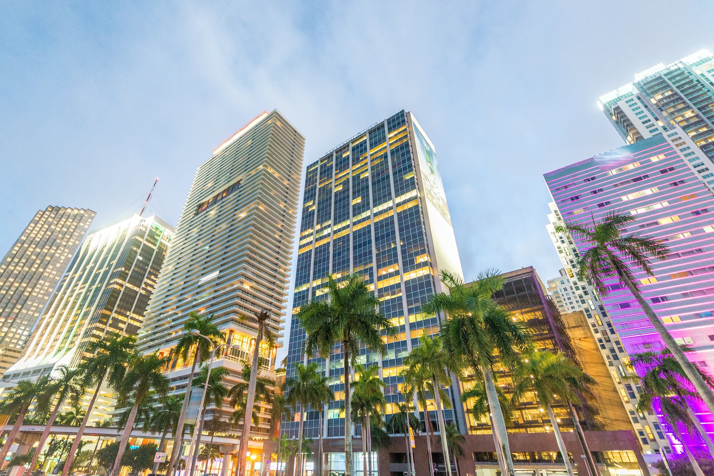 Miami Skyline